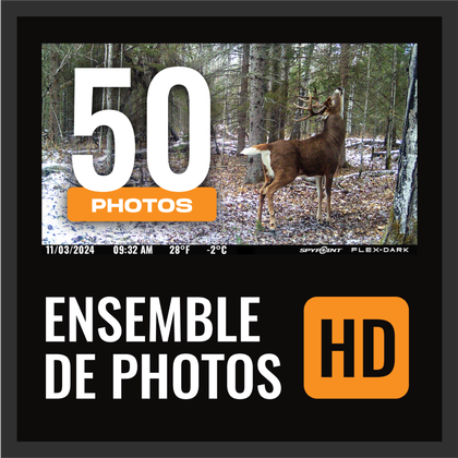 Photo Full-HD sur demande